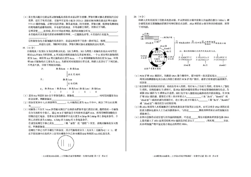 安徽省1号卷&middot;A10联盟2026届高三上学期8月底学情调研生物试题（含答案）_2024-2026高三（6-6月题库）_2025年08月试卷_2508291号卷&middot;A10联盟2026届高三上学期8月底学情调研（全科）