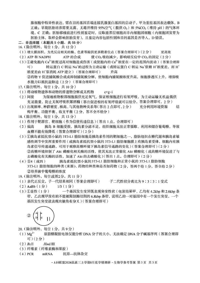 安徽省1号卷&middot;A10联盟2026届高三上学期8月底学情调研生物试题（含答案）_2024-2026高三（6-6月题库）_2025年08月试卷_2508291号卷&middot;A10联盟2026届高三上学期8月底学情调研（全科）