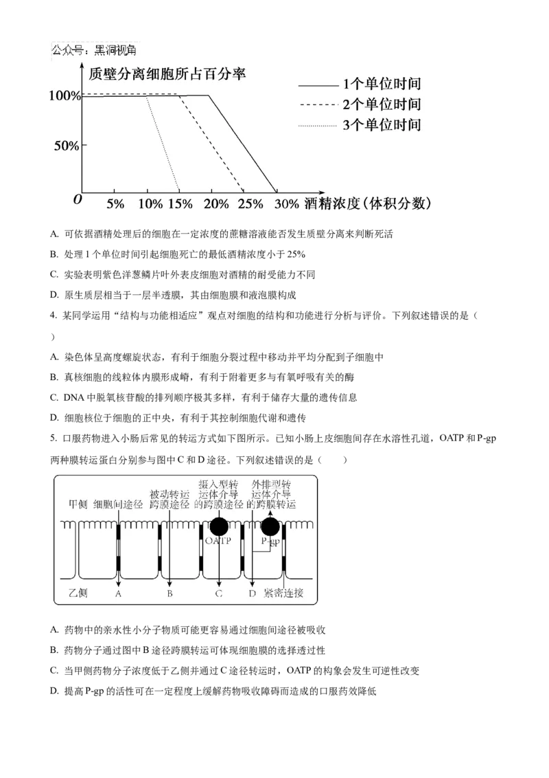 辽宁省鞍山市第一中学2024-2025学年高三上学期10月二模试题生物Word版含答案_2024-2025高三（6-6月题库）_2024年10月试卷_1020辽宁省鞍山市第一中学2024-2025学年高三上学期10月二模