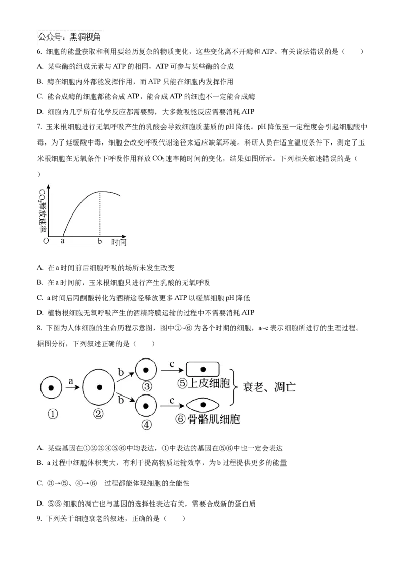 辽宁省鞍山市第一中学2024-2025学年高三上学期10月二模试题生物Word版含答案_2024-2025高三（6-6月题库）_2024年10月试卷_1020辽宁省鞍山市第一中学2024-2025学年高三上学期10月二模