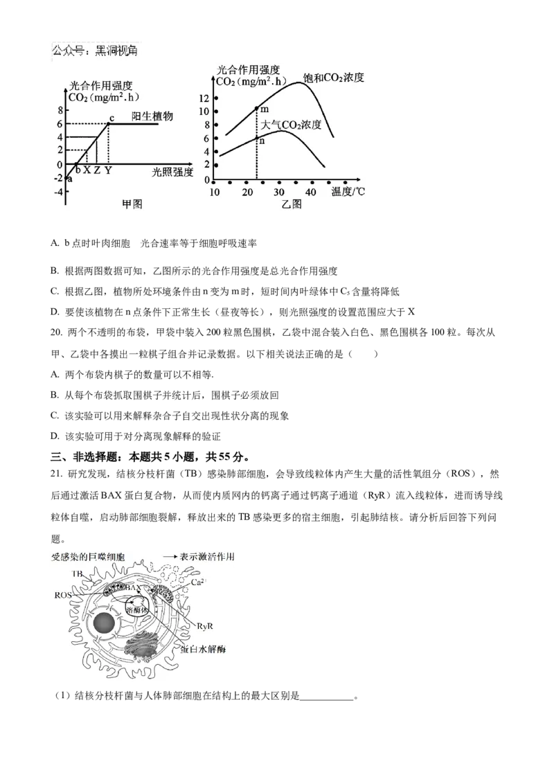 辽宁省鞍山市第一中学2024-2025学年高三上学期10月二模试题生物Word版含答案_2024-2025高三（6-6月题库）_2024年10月试卷_1020辽宁省鞍山市第一中学2024-2025学年高三上学期10月二模