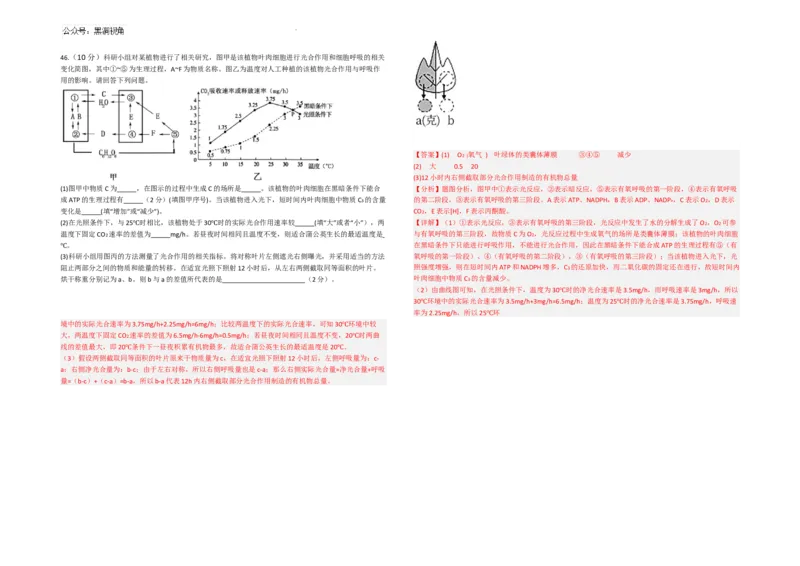 生物--2024-2025学年第一学期高三第一次月考试卷（8月）教师卷--2024-2025学年第一学期高三生物第一次月考试卷（8月）_2024-2025高三（6-6月题库）_2024年08月试卷