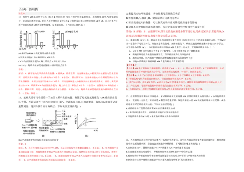 生物--2024-2025学年第一学期高三第一次月考试卷（8月）教师卷--2024-2025学年第一学期高三生物第一次月考试卷（8月）_2024-2025高三（6-6月题库）_2024年08月试卷