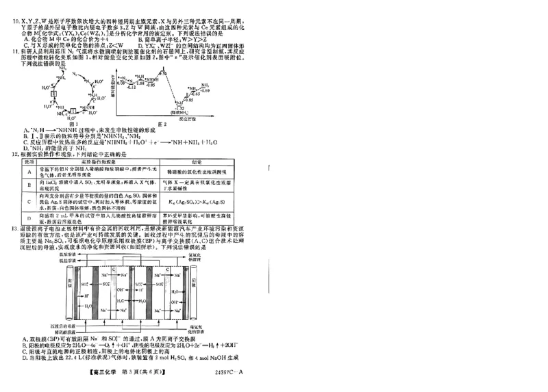 高三化学_2024年3月_013月合集_2024届河北省金科大联考高三下学期3月质量检测_河北省金科大联考2024届高三下学期3月质量检测化学试题