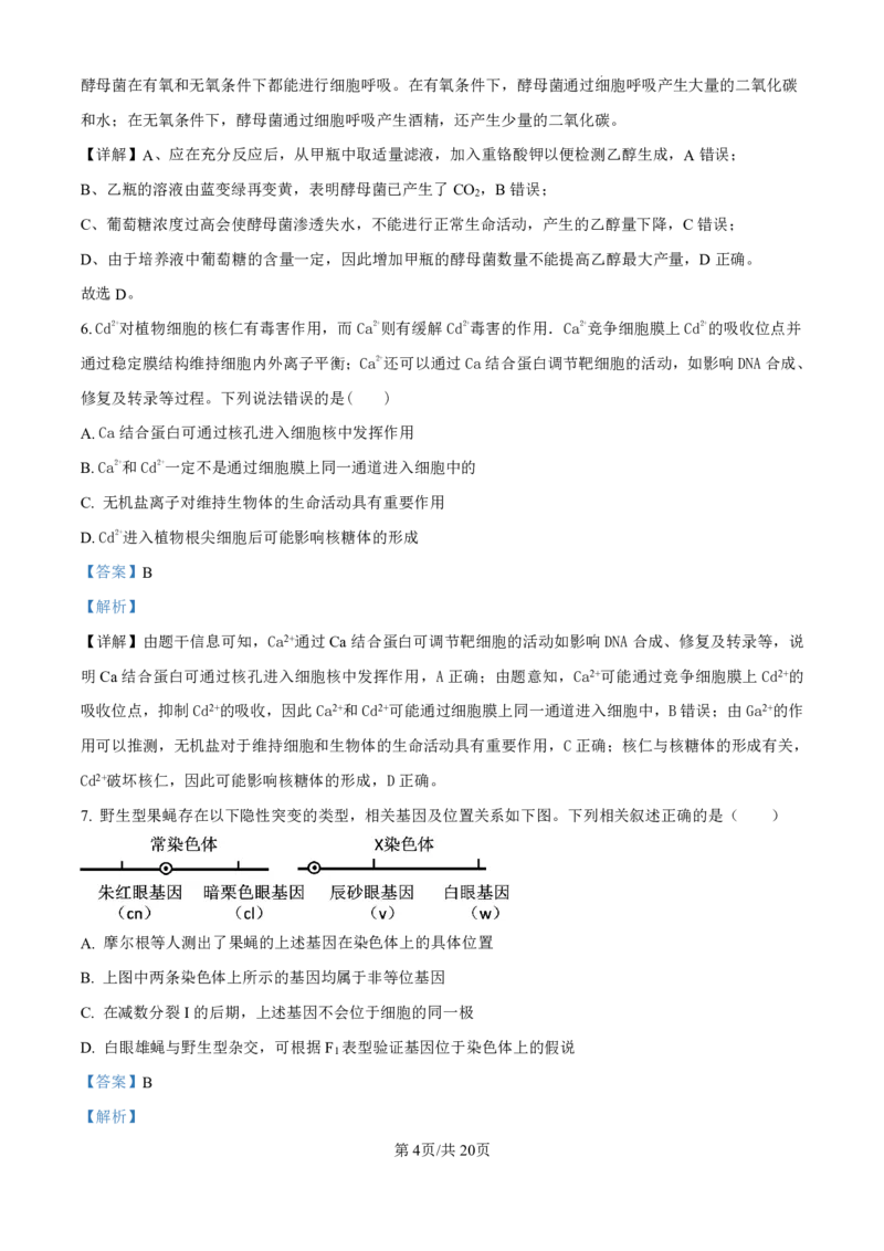 生物-广东省东莞市东莞外国语学校2025届高三上学期10月月考_2024-2025高三（6-6月题库）_2024年10月试卷_1021广东省东莞市东莞外国语学校2025届高三上学期10月月考