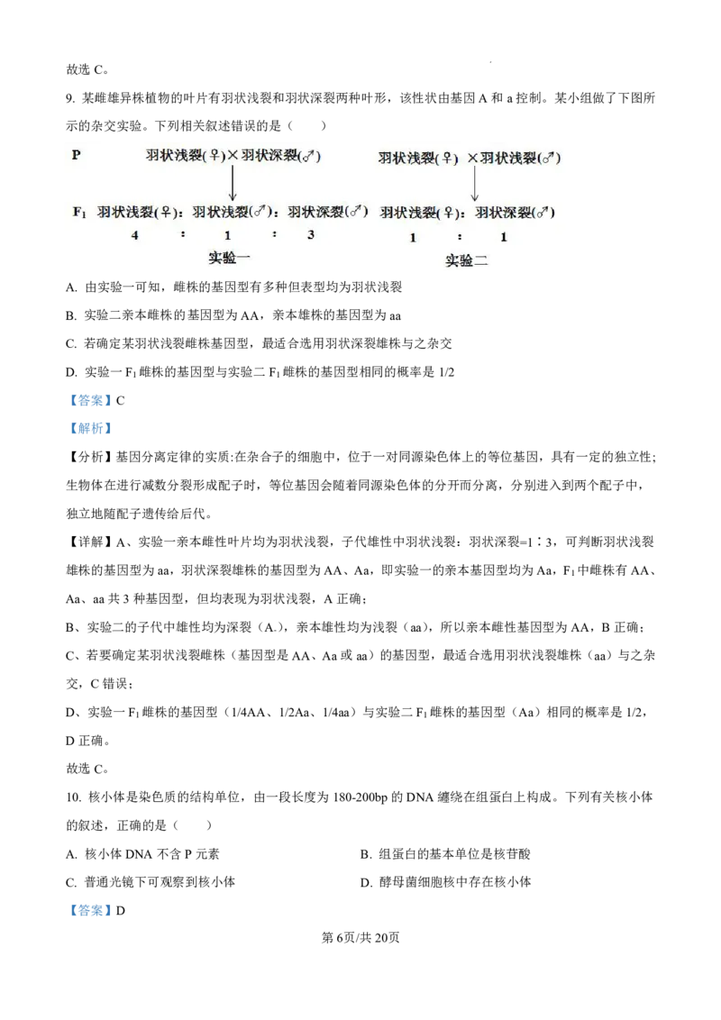 生物-广东省东莞市东莞外国语学校2025届高三上学期10月月考_2024-2025高三（6-6月题库）_2024年10月试卷_1021广东省东莞市东莞外国语学校2025届高三上学期10月月考