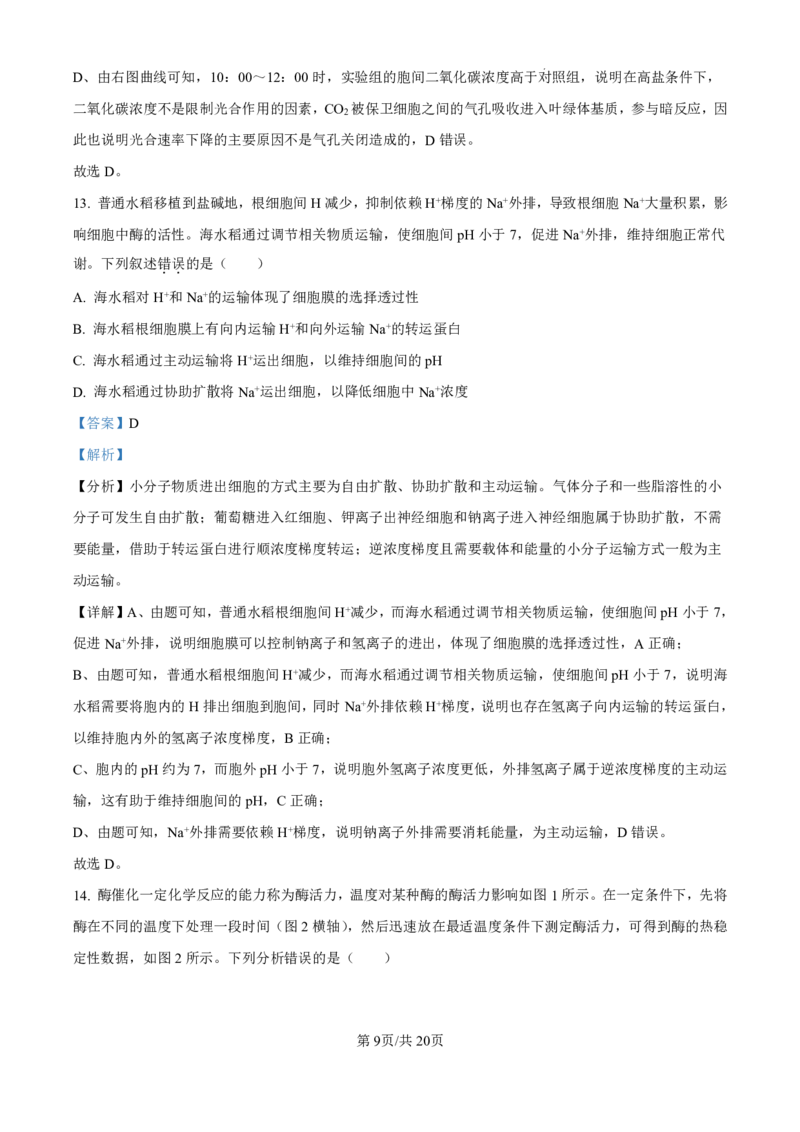 生物-广东省东莞市东莞外国语学校2025届高三上学期10月月考_2024-2025高三（6-6月题库）_2024年10月试卷_1021广东省东莞市东莞外国语学校2025届高三上学期10月月考