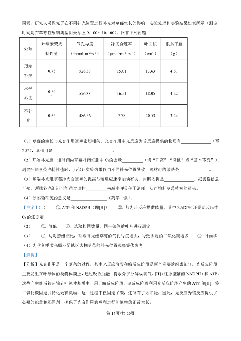 生物-广东省东莞市东莞外国语学校2025届高三上学期10月月考_2024-2025高三（6-6月题库）_2024年10月试卷_1021广东省东莞市东莞外国语学校2025届高三上学期10月月考