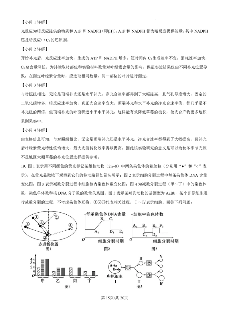 生物-广东省东莞市东莞外国语学校2025届高三上学期10月月考_2024-2025高三（6-6月题库）_2024年10月试卷_1021广东省东莞市东莞外国语学校2025届高三上学期10月月考