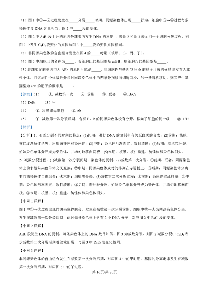 生物-广东省东莞市东莞外国语学校2025届高三上学期10月月考_2024-2025高三（6-6月题库）_2024年10月试卷_1021广东省东莞市东莞外国语学校2025届高三上学期10月月考