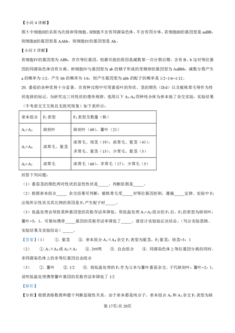 生物-广东省东莞市东莞外国语学校2025届高三上学期10月月考_2024-2025高三（6-6月题库）_2024年10月试卷_1021广东省东莞市东莞外国语学校2025届高三上学期10月月考