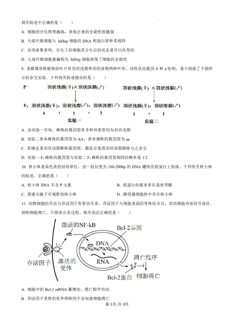 生物-广东省东莞市东莞外国语学校2025届高三上学期10月月考_2024-2025高三（6-6月题库）_2024年10月试卷_1021广东省东莞市东莞外国语学校2025届高三上学期10月月考