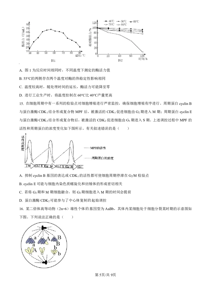 生物-广东省东莞市东莞外国语学校2025届高三上学期10月月考_2024-2025高三（6-6月题库）_2024年10月试卷_1021广东省东莞市东莞外国语学校2025届高三上学期10月月考