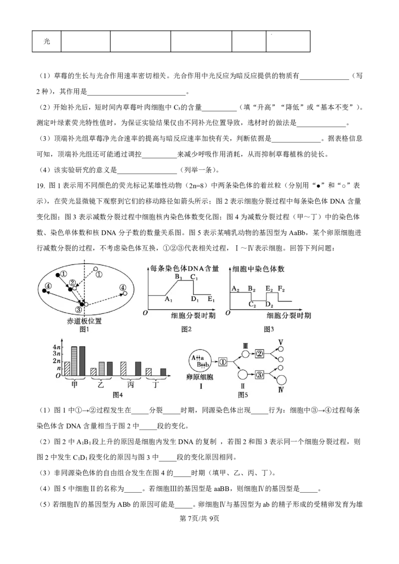生物-广东省东莞市东莞外国语学校2025届高三上学期10月月考_2024-2025高三（6-6月题库）_2024年10月试卷_1021广东省东莞市东莞外国语学校2025届高三上学期10月月考
