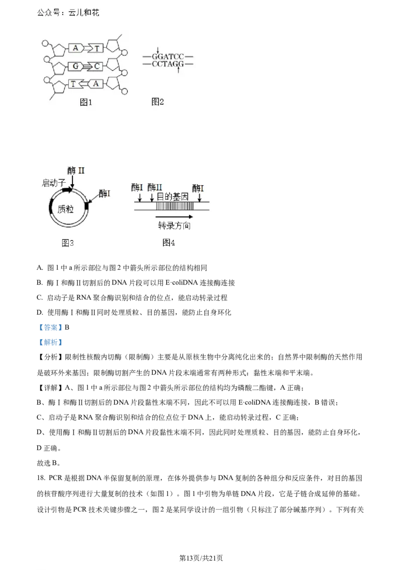 精品解析：湖北省2023-2024学年高二下学期7月期末考试生物试题（解析版）_2024-2025高二（7-7月题库）_2024年07月试卷_湖北省2023-2024学年高二下学期7月期末考试生物试题