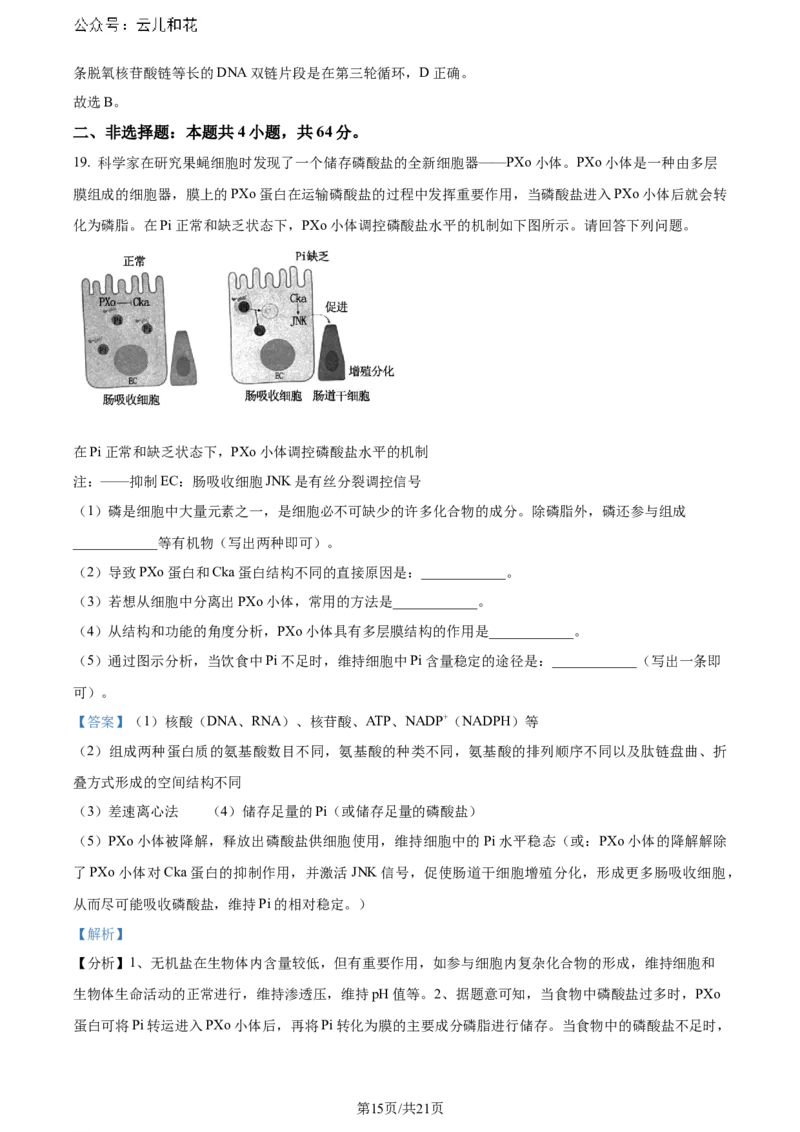 精品解析：湖北省2023-2024学年高二下学期7月期末考试生物试题（解析版）_2024-2025高二（7-7月题库）_2024年07月试卷_湖北省2023-2024学年高二下学期7月期末考试生物试题
