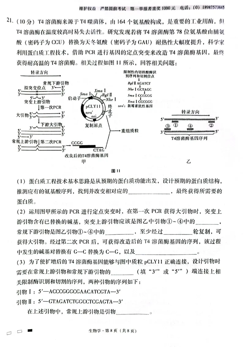 生物试卷_2024-2025高三（6-6月题库）_2024年12月试卷_1203云南师范大学附属中学2024-2025学年高三上学期高考适应性月考（六）（全科）_云南师大附中2025届高考适应性月考卷（六）生物试卷