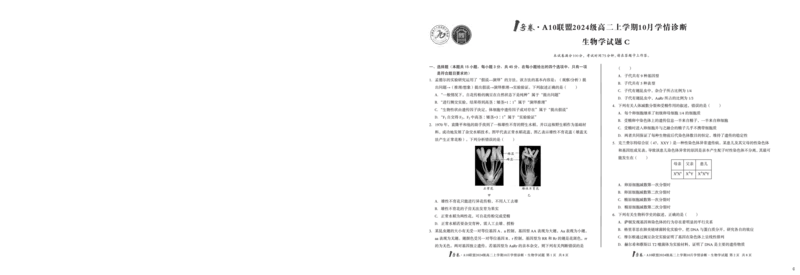 （C卷）1号卷&middot;A10联盟2024级高二上学期10月学情诊断生物学c_2025年10月高二试卷_251017安徽省1号卷&middot;A10联盟2024级高二上学期10月学情诊断（全）
