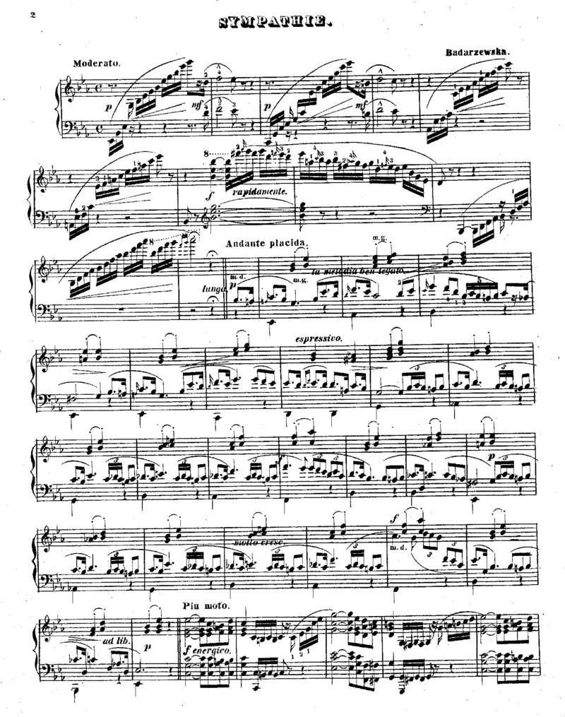 同情_sympathie_一万首著名钢琴曲谱哈农贝多芬合集视频教学电子版高清无水印可打印_1古典钢琴知名音乐家谱_巴达捷芙斯卡钢琴谱全集