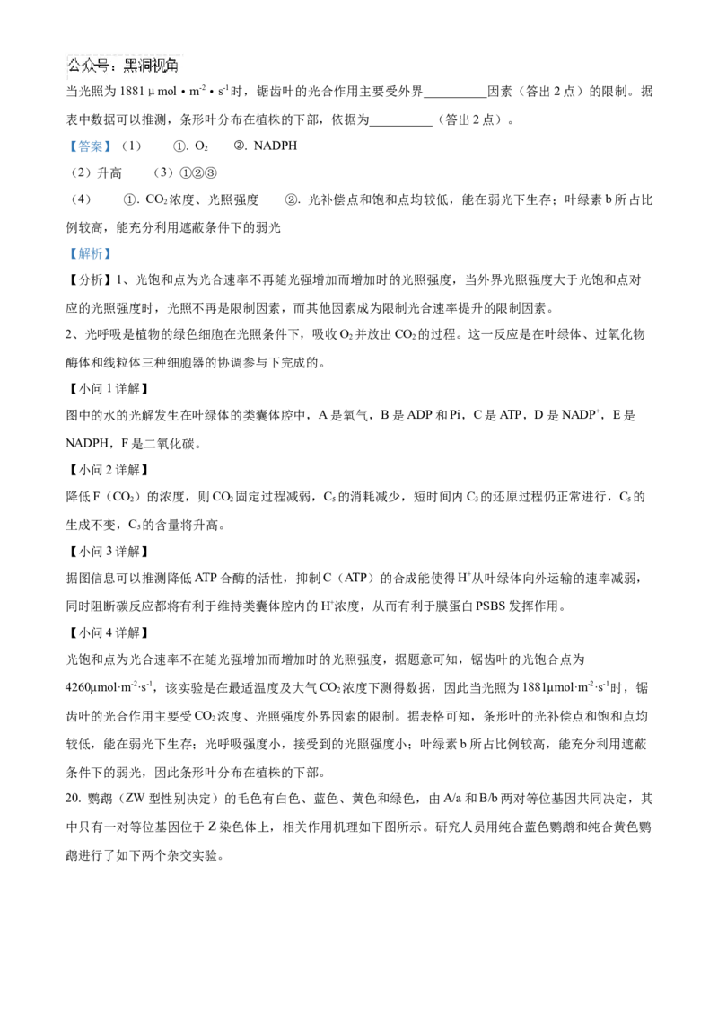 湖北省武汉外国语学校2025届高三上学期10月考试生物试题Word版含解析_2024-2025高三（6-6月题库）_2024年11月试卷_1104湖北省武汉外国语学校2025届高三上学期10月月考