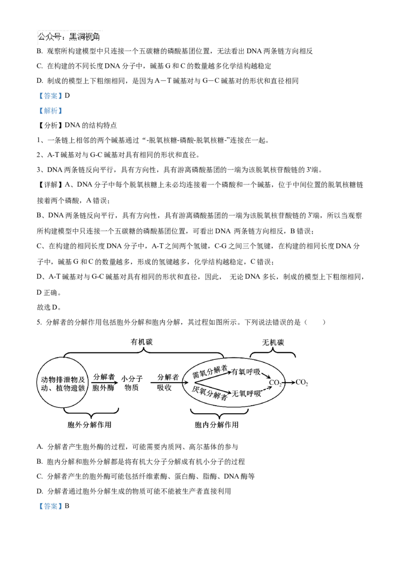 湖北省武汉外国语学校2025届高三上学期10月考试生物试题Word版含解析_2024-2025高三（6-6月题库）_2024年11月试卷_1104湖北省武汉外国语学校2025届高三上学期10月月考