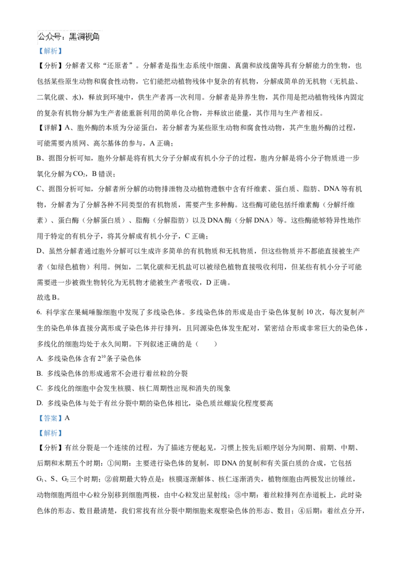 湖北省武汉外国语学校2025届高三上学期10月考试生物试题Word版含解析_2024-2025高三（6-6月题库）_2024年11月试卷_1104湖北省武汉外国语学校2025届高三上学期10月月考