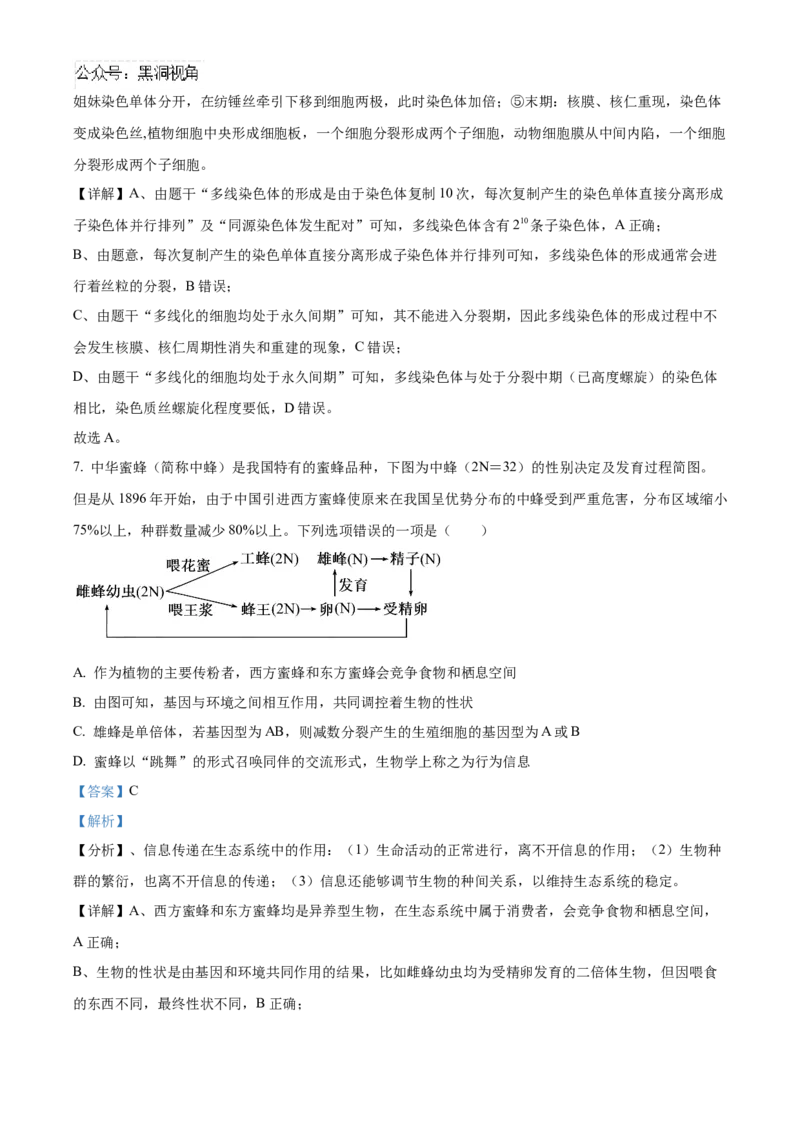 湖北省武汉外国语学校2025届高三上学期10月考试生物试题Word版含解析_2024-2025高三（6-6月题库）_2024年11月试卷_1104湖北省武汉外国语学校2025届高三上学期10月月考