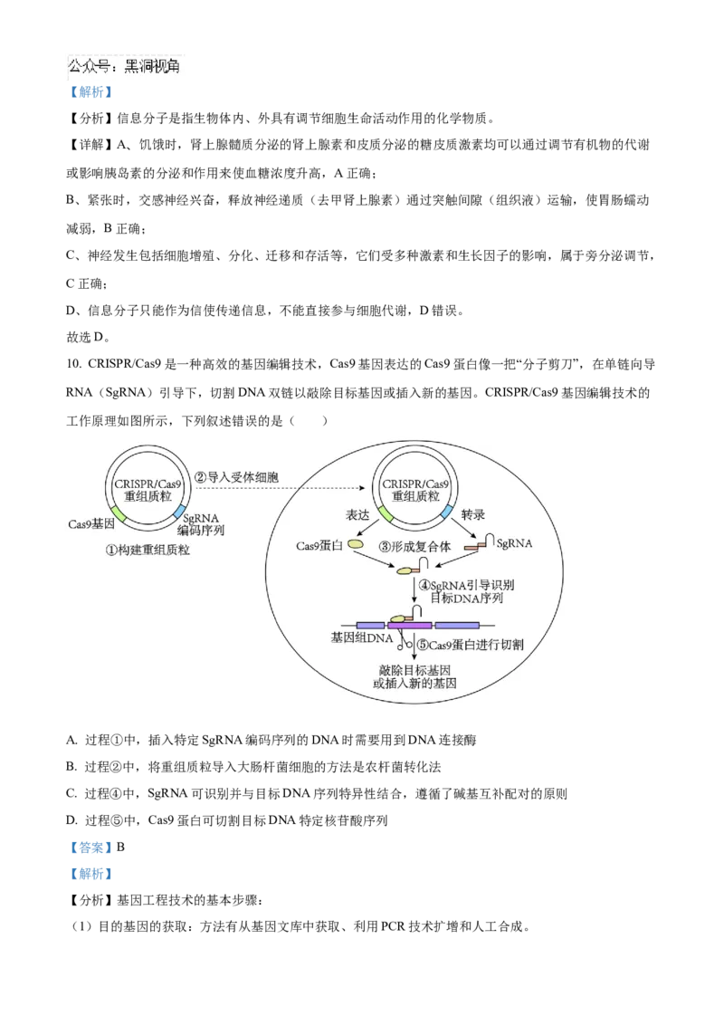 湖北省武汉外国语学校2025届高三上学期10月考试生物试题Word版含解析_2024-2025高三（6-6月题库）_2024年11月试卷_1104湖北省武汉外国语学校2025届高三上学期10月月考