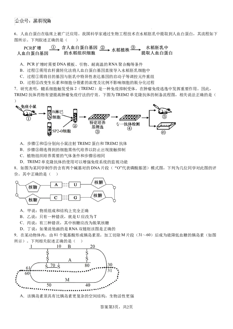 生物_2024-2025高三（6-6月题库）_2024年08月试卷_0812河南省许昌高级中学2024-2025学年高三上学期8月月考_河南省许昌市魏都区许昌高级中学2024-2025学年高三上学期8月月考生物试题