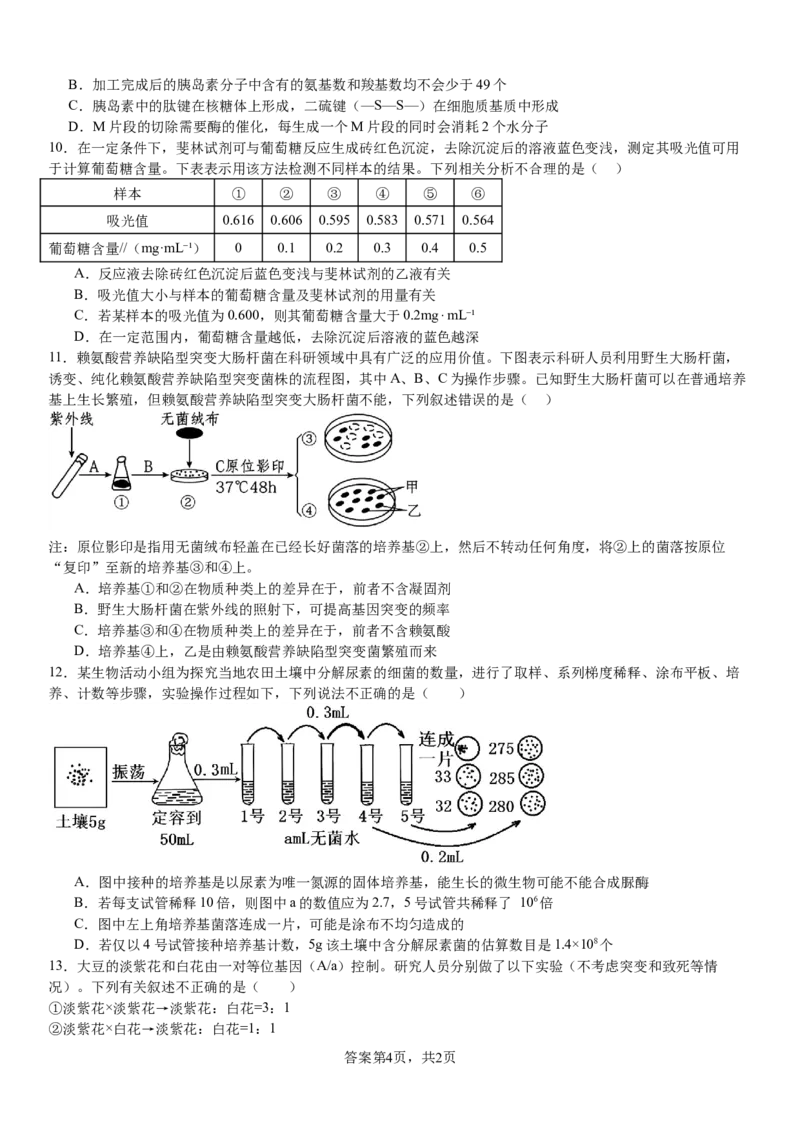 生物_2024-2025高三（6-6月题库）_2024年08月试卷_0812河南省许昌高级中学2024-2025学年高三上学期8月月考_河南省许昌市魏都区许昌高级中学2024-2025学年高三上学期8月月考生物试题