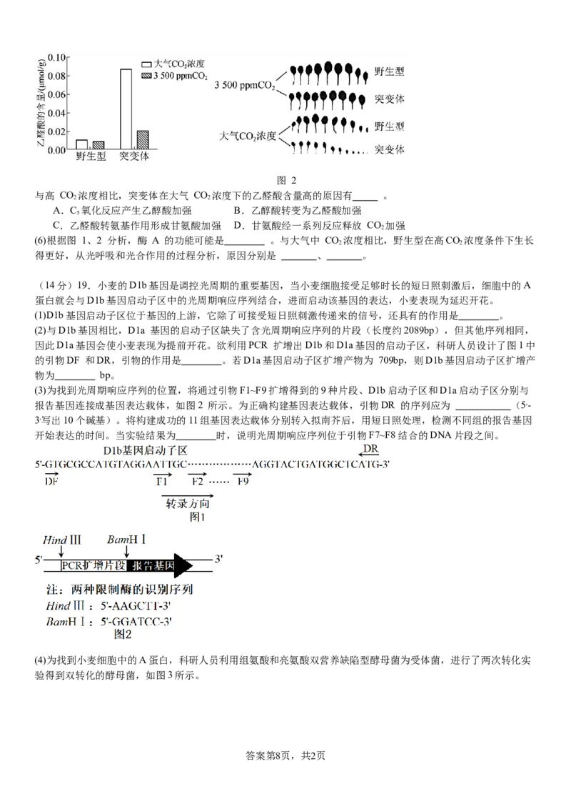生物_2024-2025高三（6-6月题库）_2024年08月试卷_0812河南省许昌高级中学2024-2025学年高三上学期8月月考_河南省许昌市魏都区许昌高级中学2024-2025学年高三上学期8月月考生物试题