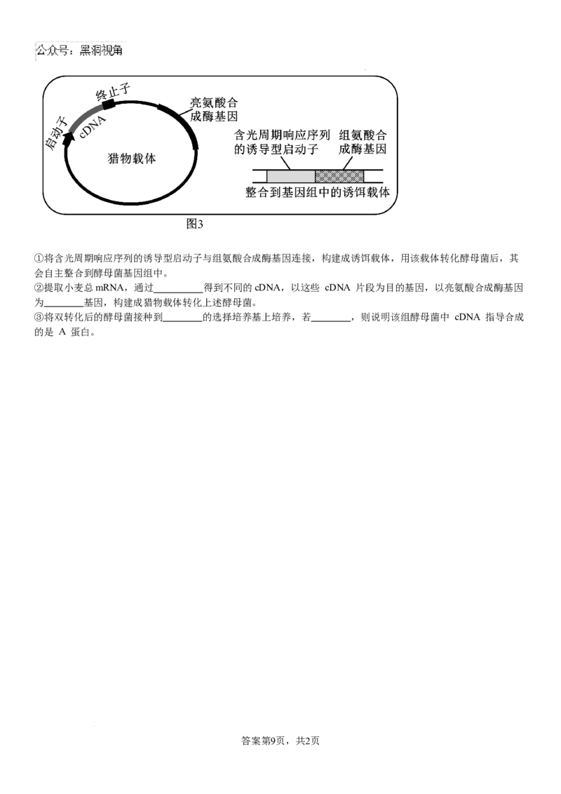 生物_2024-2025高三（6-6月题库）_2024年08月试卷_0812河南省许昌高级中学2024-2025学年高三上学期8月月考_河南省许昌市魏都区许昌高级中学2024-2025学年高三上学期8月月考生物试题