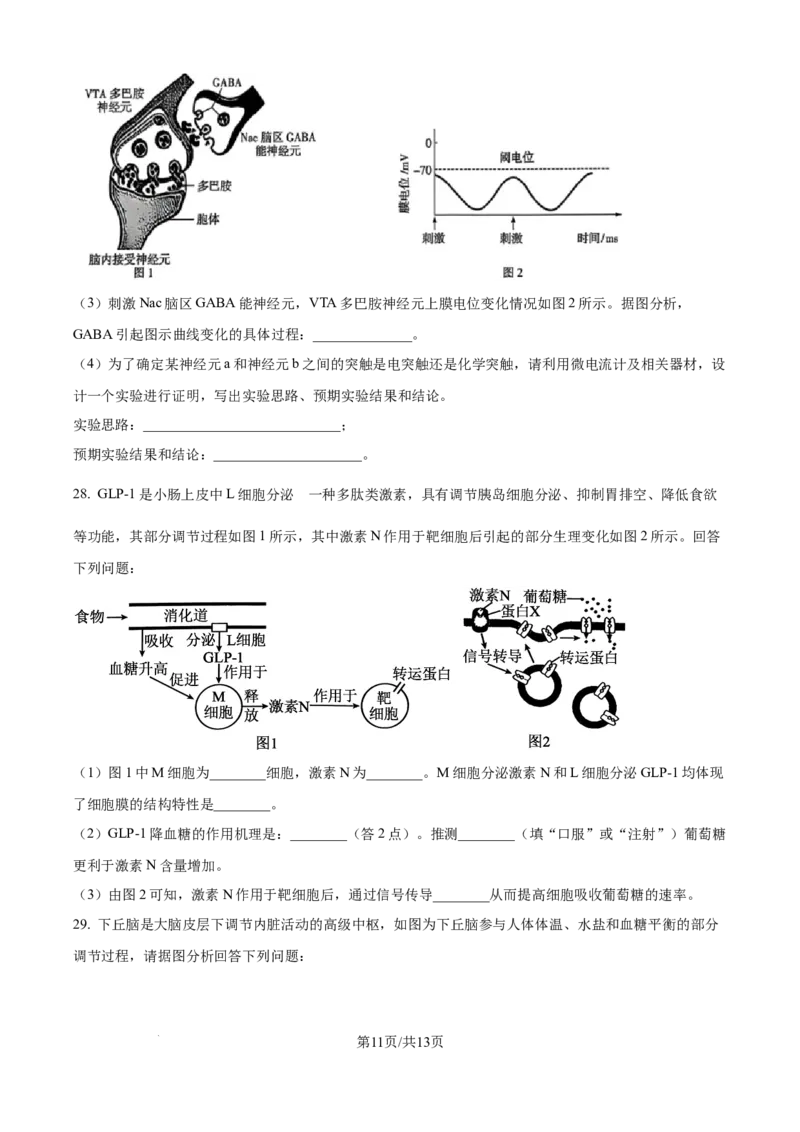 精品解析：黑龙江省牡丹江市第一高级中学（致远班）2025-2026学年高二上学期9月月考生物试题（原卷版）_2025年10月高二试卷