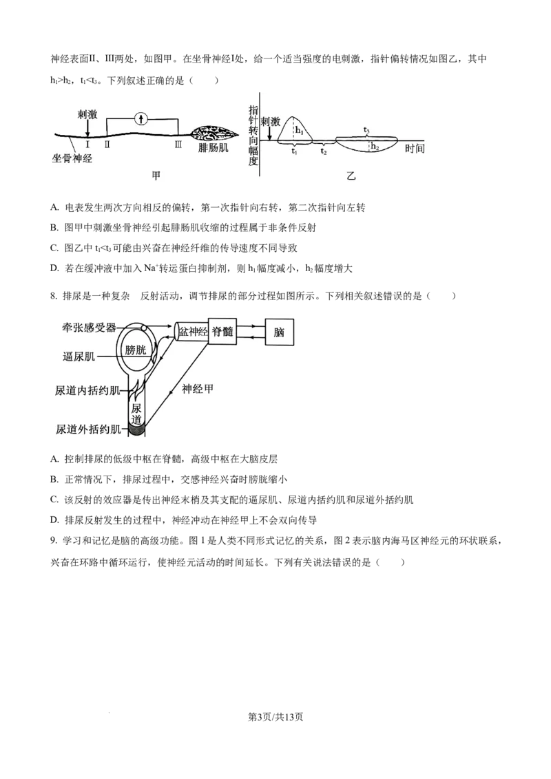 精品解析：黑龙江省牡丹江市第一高级中学（致远班）2025-2026学年高二上学期9月月考生物试题（原卷版）_2025年10月高二试卷