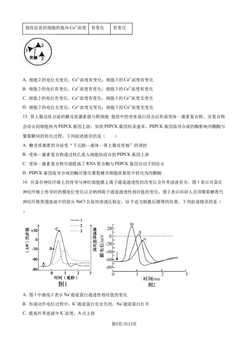 精品解析：黑龙江省牡丹江市第一高级中学（致远班）2025-2026学年高二上学期9月月考生物试题（原卷版）_2025年10月高二试卷