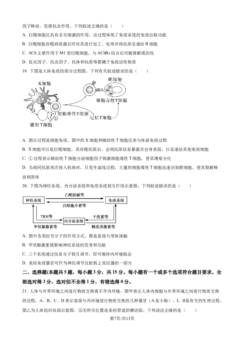 精品解析：黑龙江省牡丹江市第一高级中学（致远班）2025-2026学年高二上学期9月月考生物试题（原卷版）_2025年10月高二试卷