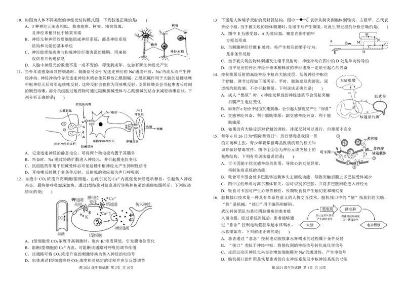 高二生物期中试题_2025年11月高二试卷_251127四川省南充高级中学2025-2026学年高二上学期11月期中（全）_四川省南充高级中学2025-2026学年高二上学期期中考试生物PDF版含答案（可编辑）