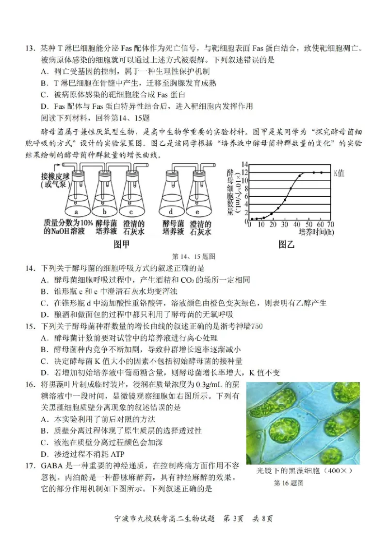 生物卷-2406宁波九校高二期末_2024-2025高二（7-7月题库）_2024年07月试卷_0703浙江省宁波市九校2023-2024学年高二下学期6月期末_浙江省宁波市九校2023-2024学年高二下学期6月期末生物