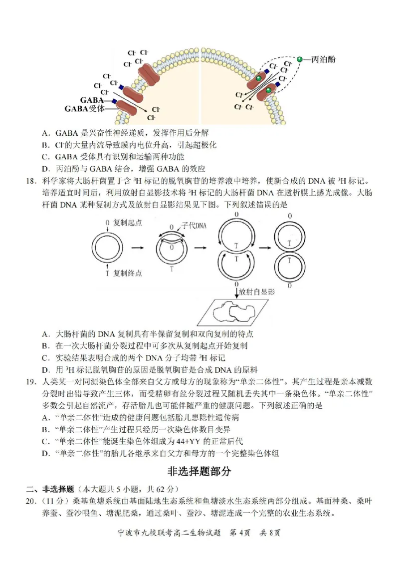 生物卷-2406宁波九校高二期末_2024-2025高二（7-7月题库）_2024年07月试卷_0703浙江省宁波市九校2023-2024学年高二下学期6月期末_浙江省宁波市九校2023-2024学年高二下学期6月期末生物