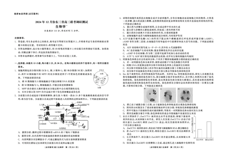 生物_2024-2025高三（6-6月题库）_2024年12月试卷_1213东北三省（点石联考）2024-2025学年高三上学期12月联考调研测试_东三省2024-2025学年高三上学期12月调研测试生物
