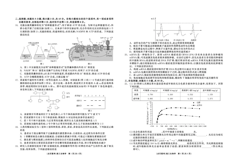 生物_2024-2025高三（6-6月题库）_2024年12月试卷_1213东北三省（点石联考）2024-2025学年高三上学期12月联考调研测试_东三省2024-2025学年高三上学期12月调研测试生物