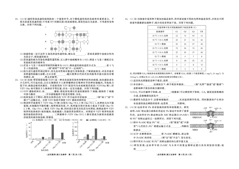 生物_2024-2025高三（6-6月题库）_2024年12月试卷_1213东北三省（点石联考）2024-2025学年高三上学期12月联考调研测试_东三省2024-2025学年高三上学期12月调研测试生物