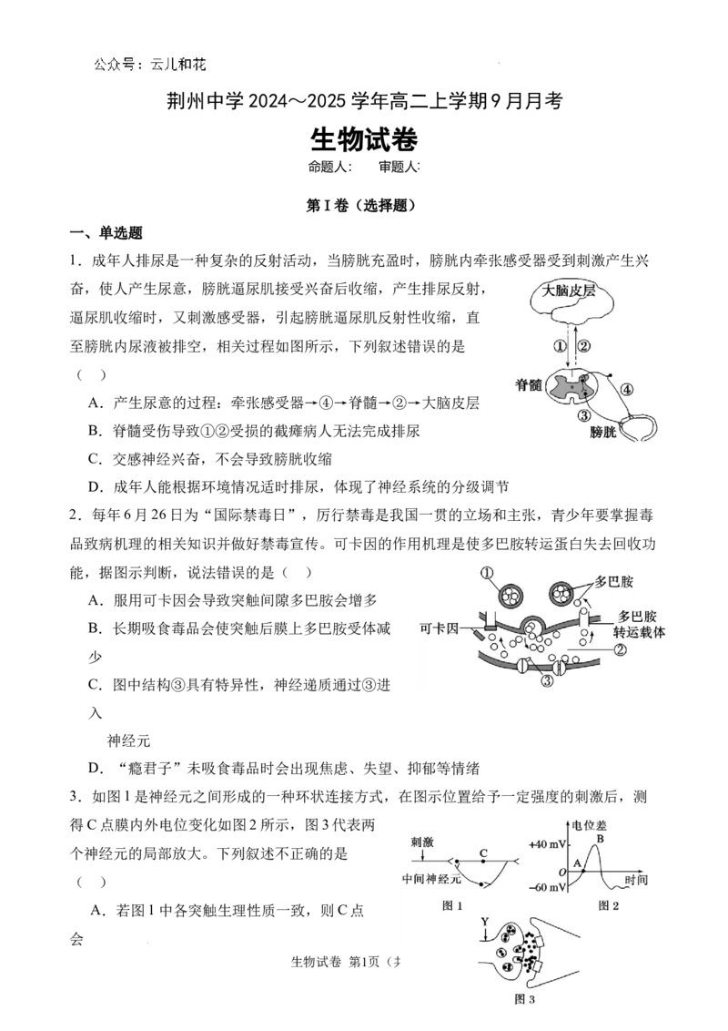 高二生物9月月考卷_2024-2025高二（7-7月题库）_2024年10月试卷_1006湖北省荆州中学2024-2025学年高二上学期9月月考