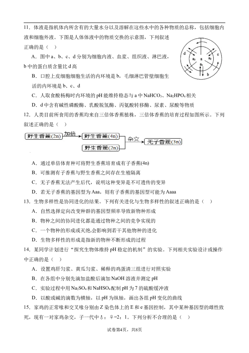 高二生物9月月考卷_2024-2025高二（7-7月题库）_2024年10月试卷_1006湖北省荆州中学2024-2025学年高二上学期9月月考