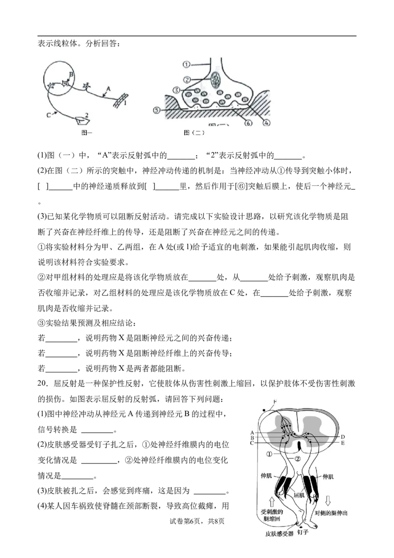 高二生物9月月考卷_2024-2025高二（7-7月题库）_2024年10月试卷_1006湖北省荆州中学2024-2025学年高二上学期9月月考