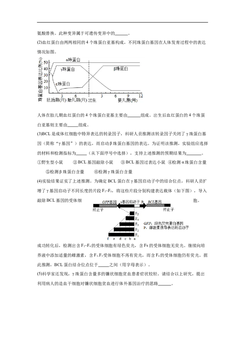 福建省福建师范大学附属中学2024-2025学年高三上学期二模生物+答案_2024-2026高三（6-6月题库）_2024年12月试卷_1228福建省福建师范大学附属中学2024-2025学年高三上学期二模