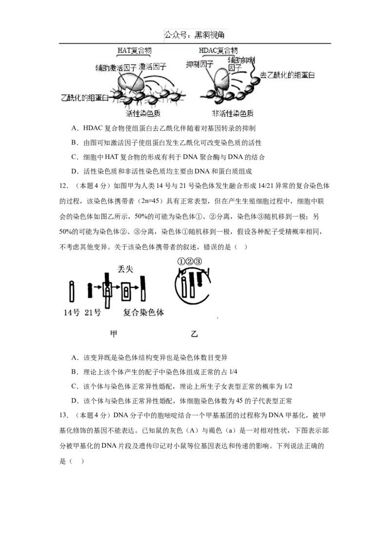 福建省福建师范大学附属中学2024-2025学年高三上学期二模生物+答案_2024-2026高三（6-6月题库）_2024年12月试卷_1228福建省福建师范大学附属中学2024-2025学年高三上学期二模