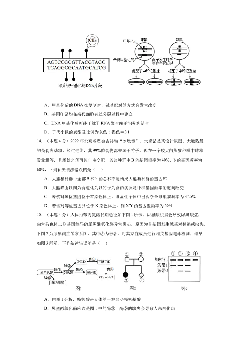 福建省福建师范大学附属中学2024-2025学年高三上学期二模生物+答案_2024-2026高三（6-6月题库）_2024年12月试卷_1228福建省福建师范大学附属中学2024-2025学年高三上学期二模
