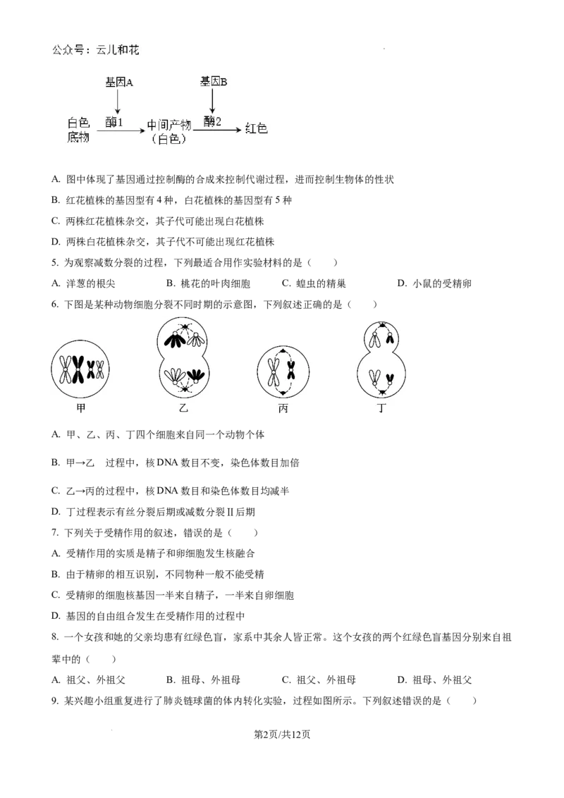 黑龙江省龙东十校2024-2025学年高二上学期开学考试生物试题+答案_2024-2025高二（7-7月题库）_2024年09月试卷_0903黑龙江省龙东十校2024-2025学年高二上学期开学考试