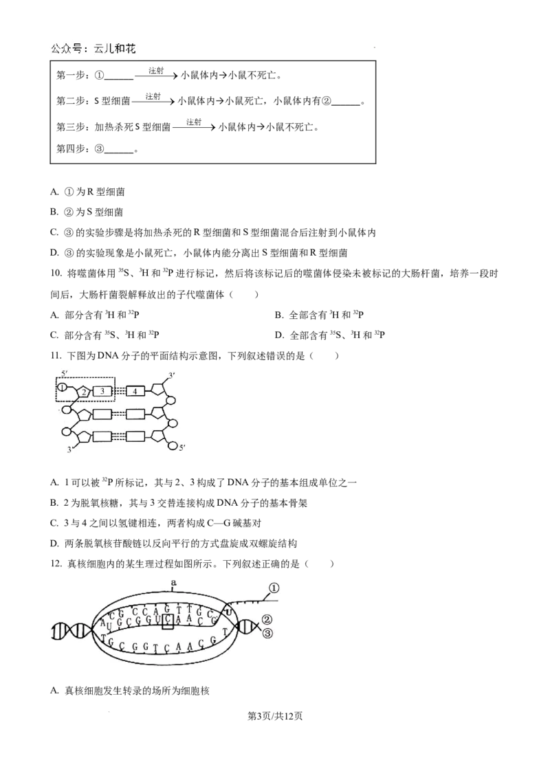 黑龙江省龙东十校2024-2025学年高二上学期开学考试生物试题+答案_2024-2025高二（7-7月题库）_2024年09月试卷_0903黑龙江省龙东十校2024-2025学年高二上学期开学考试